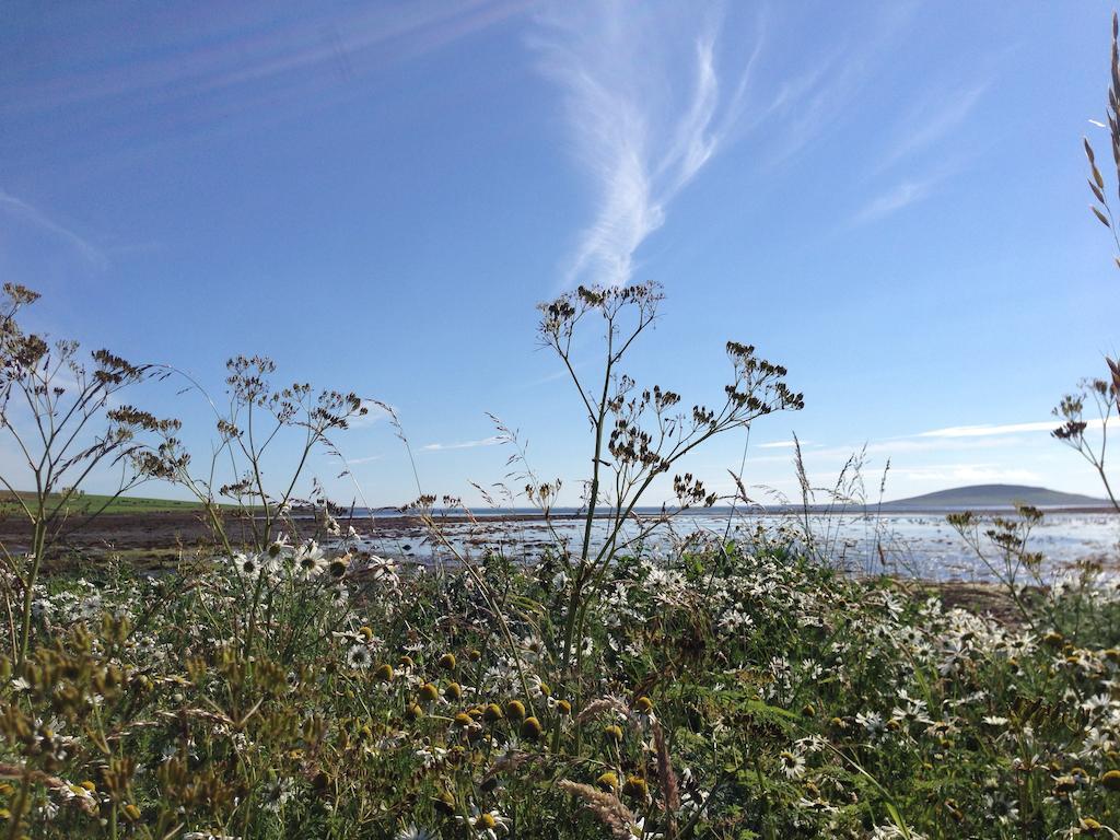 Woodwick House Bed and Breakfast Orkney Buitenkant foto